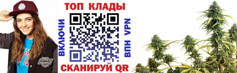 Где найти наркотики Заречный АМФ Гашиш МАРИХУАНА Псилоцибиновые грибы Alpha-PVP