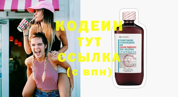 крисы Надым