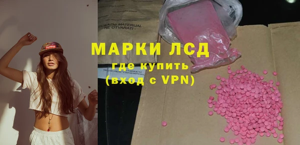 индика Нефтекумск