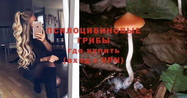 индика Нефтекумск