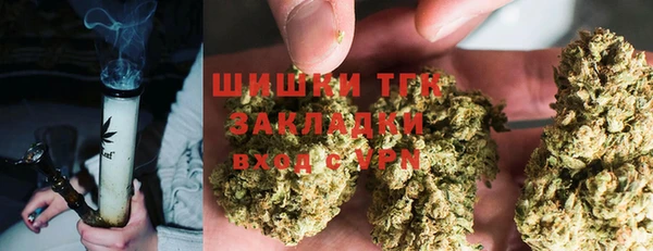 индика Нефтекумск