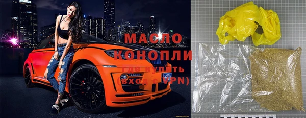 крисы Надым