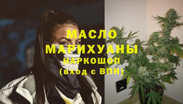 крисы Надым