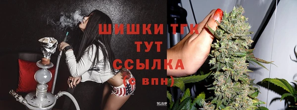 индика Нефтекумск