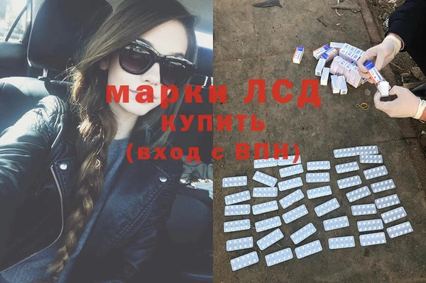 крисы Надым