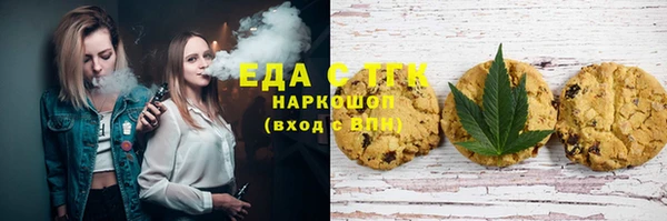 индика Нефтекумск