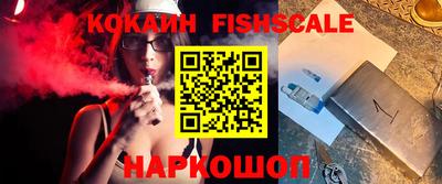 спиды Гатчина