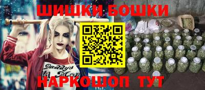 спиды Гатчина