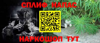 apvp Гагарин