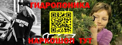 apvp Гагарин