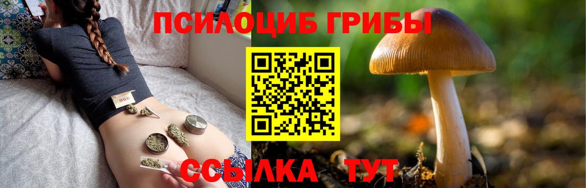 Псилоцибиновые грибы Magic Shrooms  Заречный 