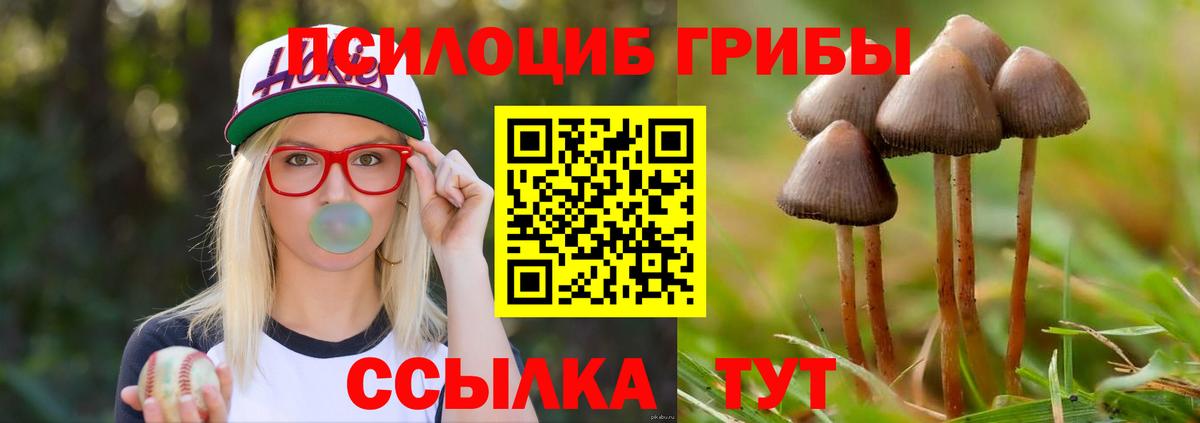 Псилоцибиновые грибы Magic Shrooms  Вход с VPN  Галлюциногенные грибы ЛСД  Заречный 